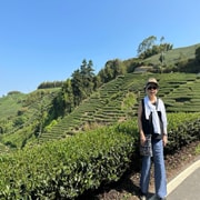 亚米UGC圖片