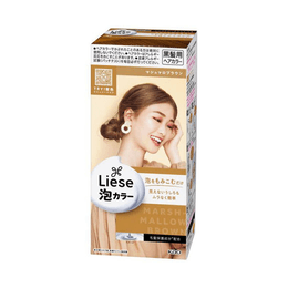 KAO Foam Color Hair Dye Hair Coloring Agent  Marshmallow Brown