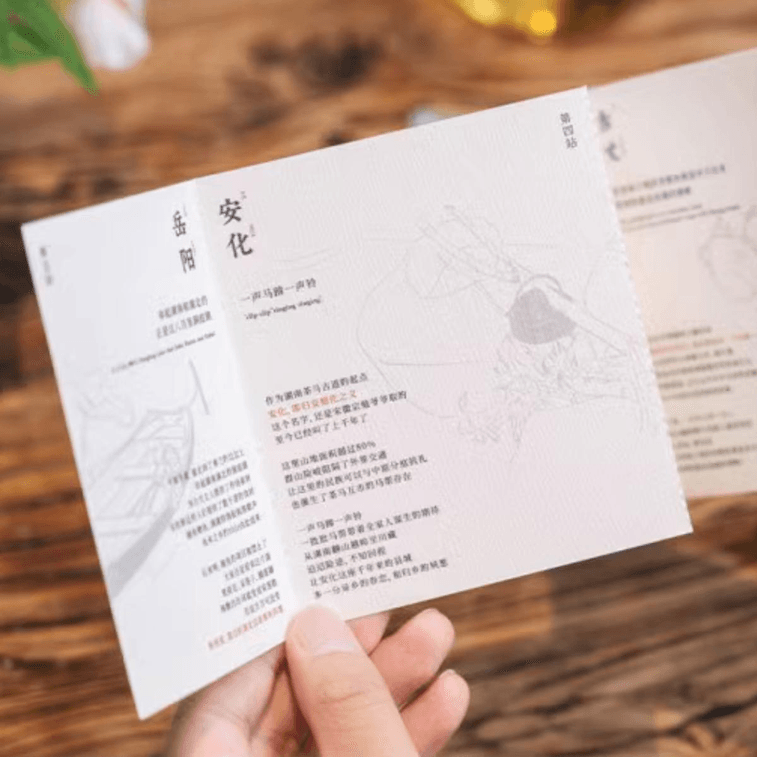 Green Tea Black Tea White tea Dark Tea Bags, 0.61 oz 5