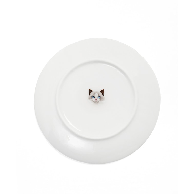  Pet Portrait Porcelain Middle Print 6” Plate - Ragdoll 4
