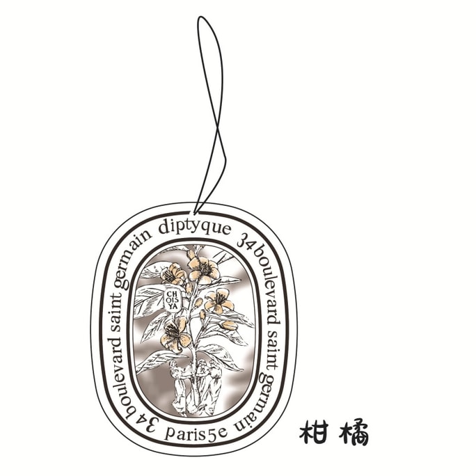Car Aromatherapy Fragrance Chip Perfume Wardrobe Ornament-Citrus Fragrance 1Pc
