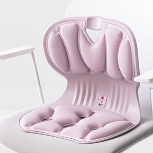 Standard Lumbar Cushion, Ergonomic Backrest for Posture, Universal Chair Fit, Forbidden City, Purple, 14.3×12.9×13.1in