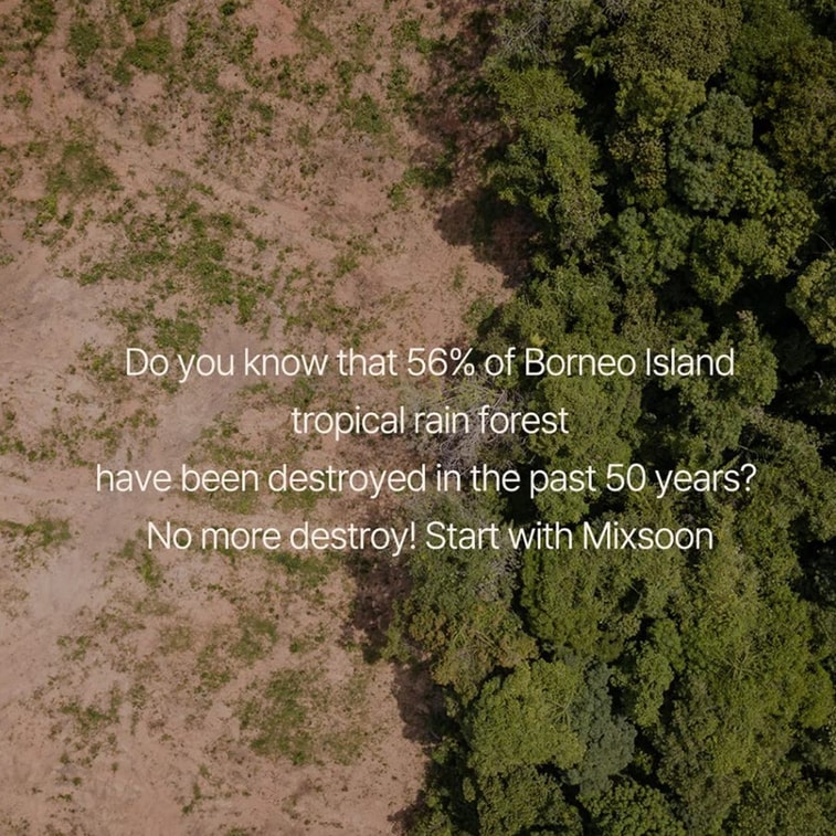 韓國 Mixsoon 素食潤唇膏 01透明色 4.1g 5