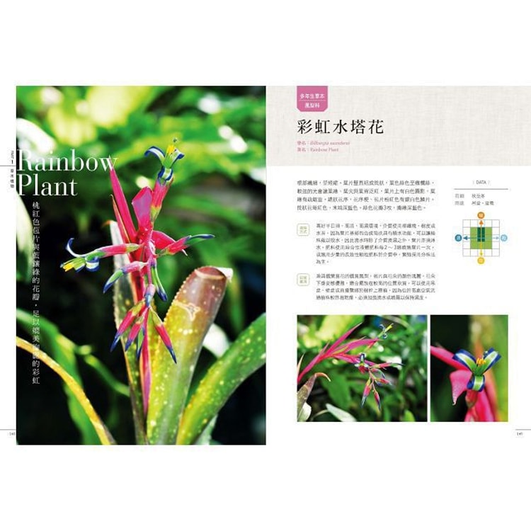 繁體 愛花人集合 300種最新花卉栽培與應用 亚米