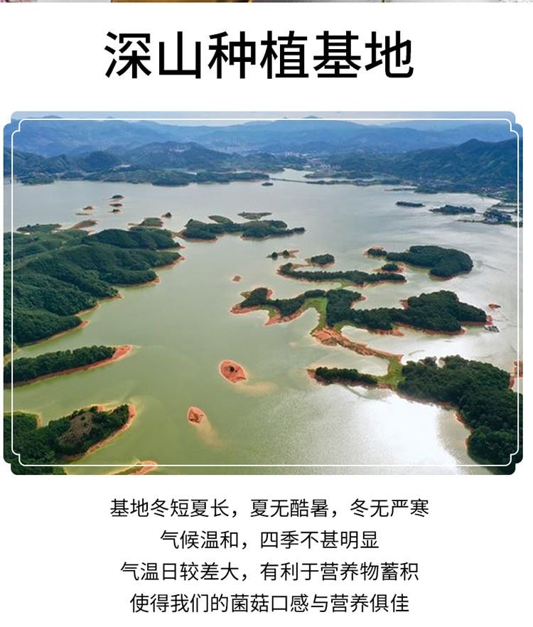 【中国直邮】 金唐 有机竹荪60g