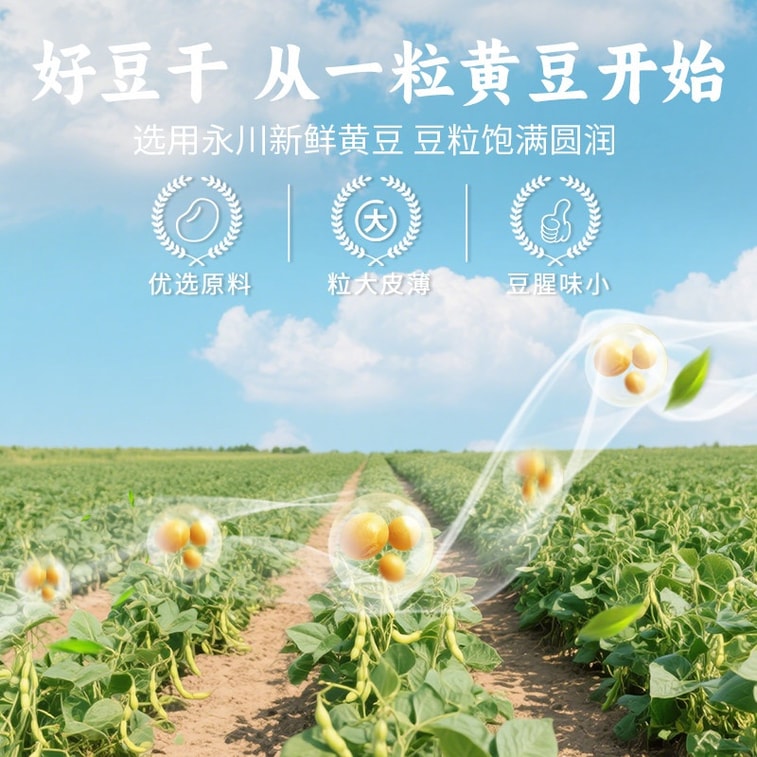 【中国からの直送】三官六麻頭 スパイシーチキンスープ風味乾燥豆腐 316g（2袋）濃厚で歯ごたえのある煮込み乾燥豆腐、すぐに食べられるベジタリアン大豆製品、特製スナック。 4