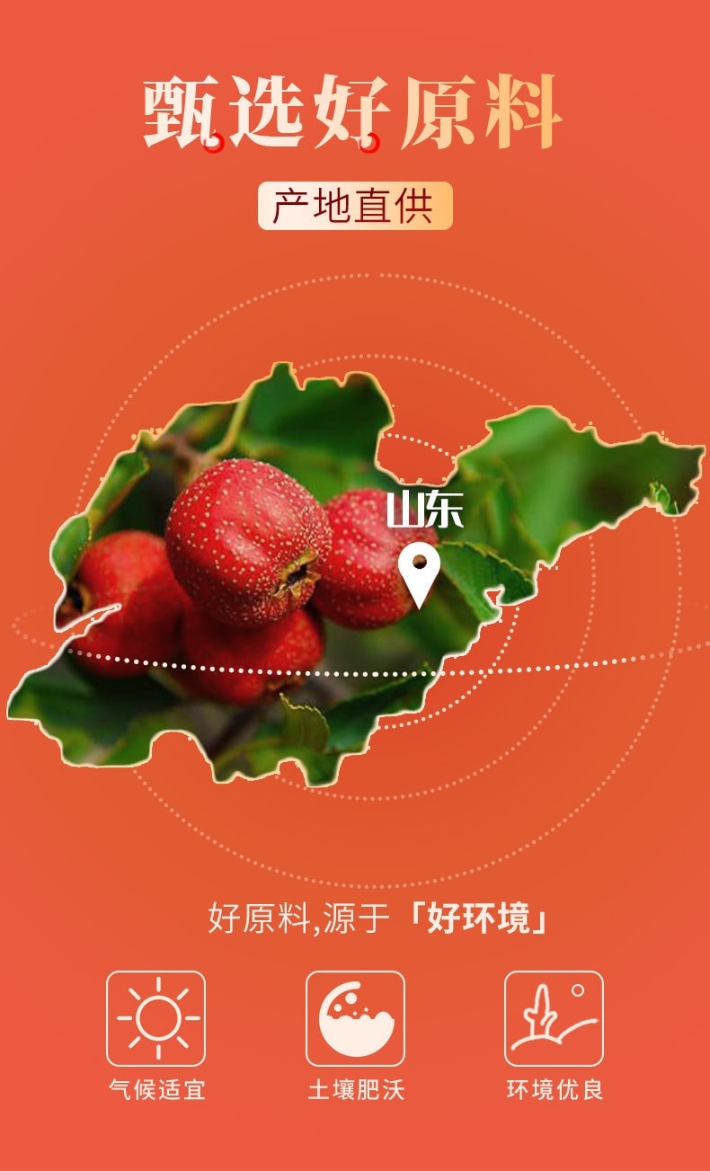 【中國直郵】 南京同仁堂 山楂茶山楂片無核山楂圈山楂乾冰糖葫蘆促進消化 生津開胃 60g/罐