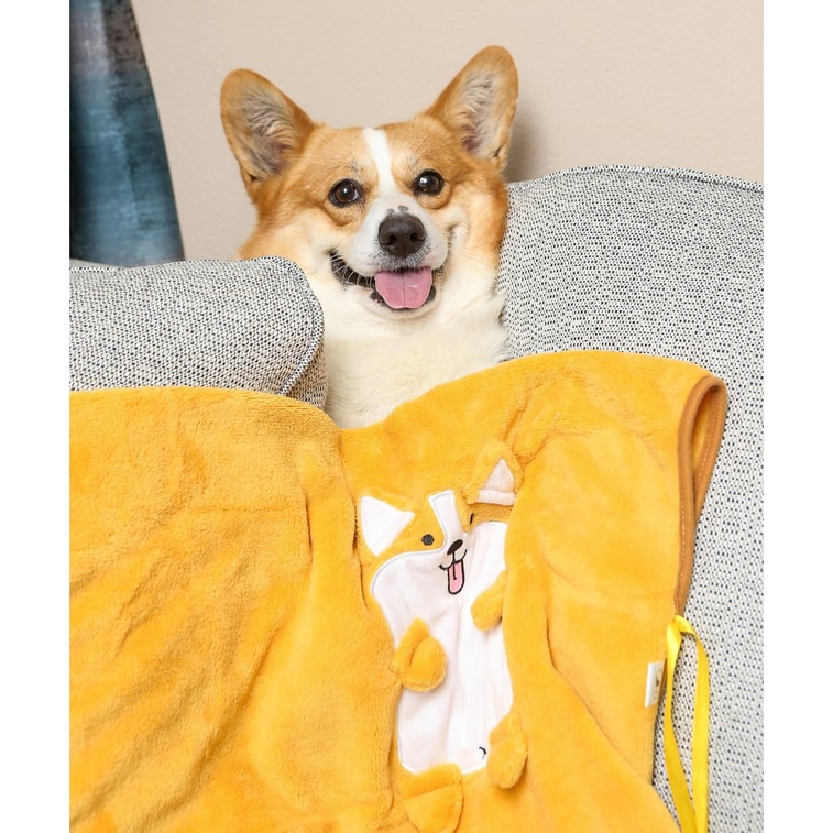  Corgi Plushy Air Conditioning Blanket #L size# 6