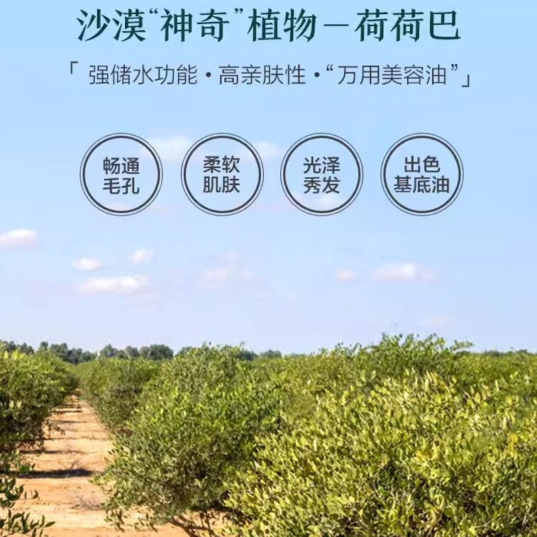 【中國直郵】阿芙 荷荷巴油 霍霍巴油 溶黑頭基礎油護膚油精油臉部按摩正品 30ml/瓶 3