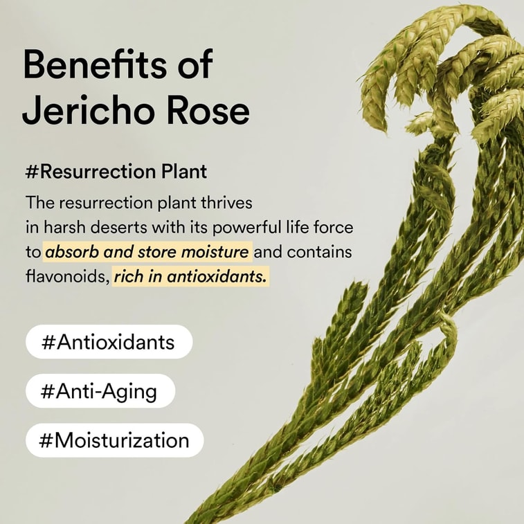 ABIB Crème contour des yeux au collagène Jericho Rose Tube 1.01 fl.oz. Raffermissante et éclaircissante 5