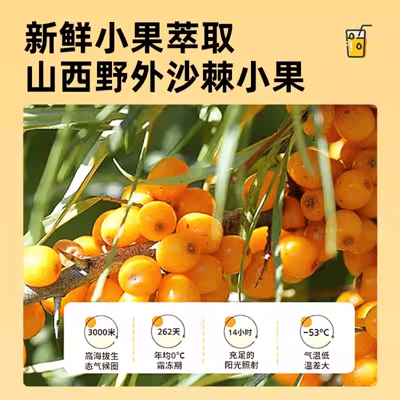 【中国直邮】 关东礼 沙棘原浆正品新疆沙棘鲜榨天然VC原浆无添加小果沙棘150g*1盒