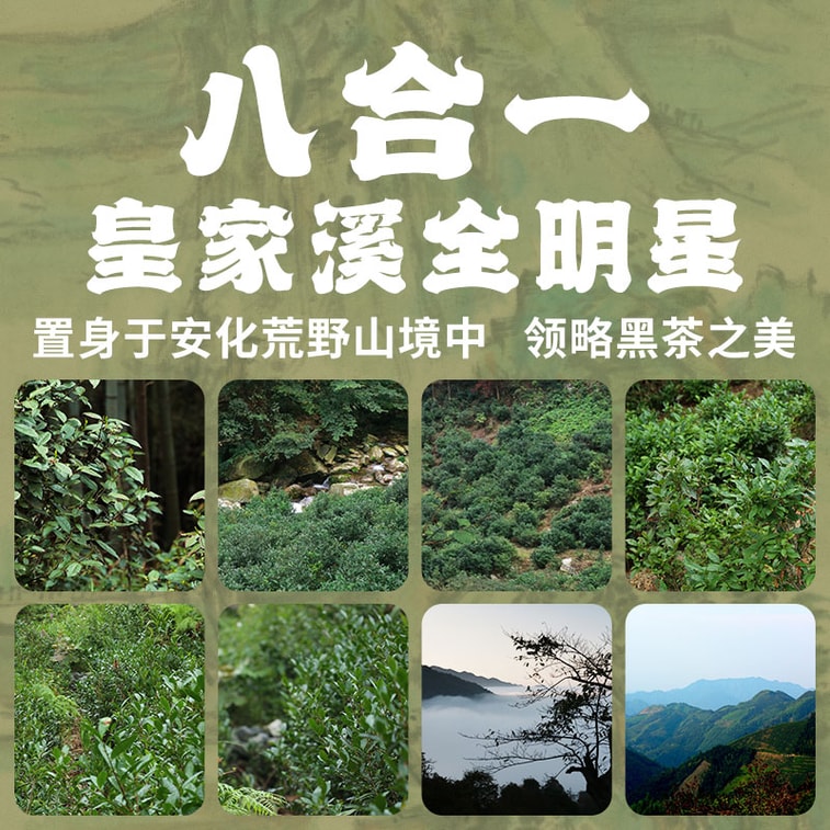 白沙溪 安化黑茶荒野茶品鉴合集 ⼤荒之美 皇家溪安化黑茶山头茶茶叶 8款组合装 70克(7克x10包) 4