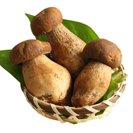 Dried Porcini Mushrooms 2oz Premuim Grade
