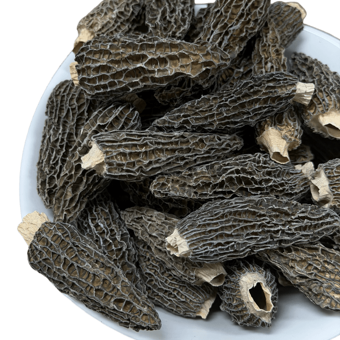 Dried Morchella (Large) 113g