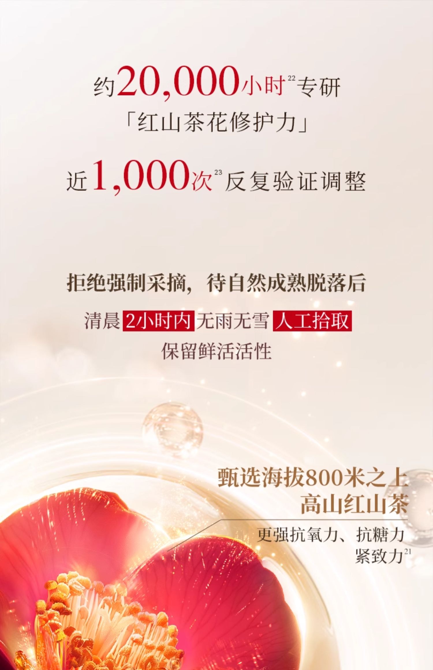 Red Camellia Revitalizing Essence Water 200ml/ Bottle