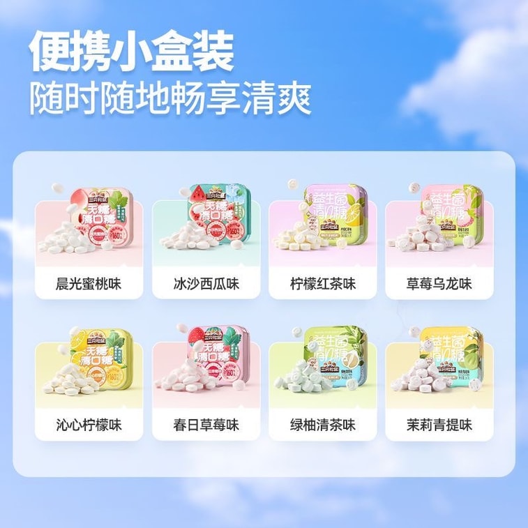 スリー・スクイレルズ シュガーフリー ブレスフレッシュニングキャンディ [フルーツティー風味] - ミントキャンディで息を爽やかに、低脂肪フルーツ＆ビタミンC配合、16g×4箱 6