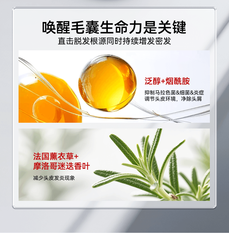 【中国直邮】 新加坡 Kuvive 生姜育发液 生长发增发密发头皮精华液头发护理剂发际线快速长 100ml/瓶