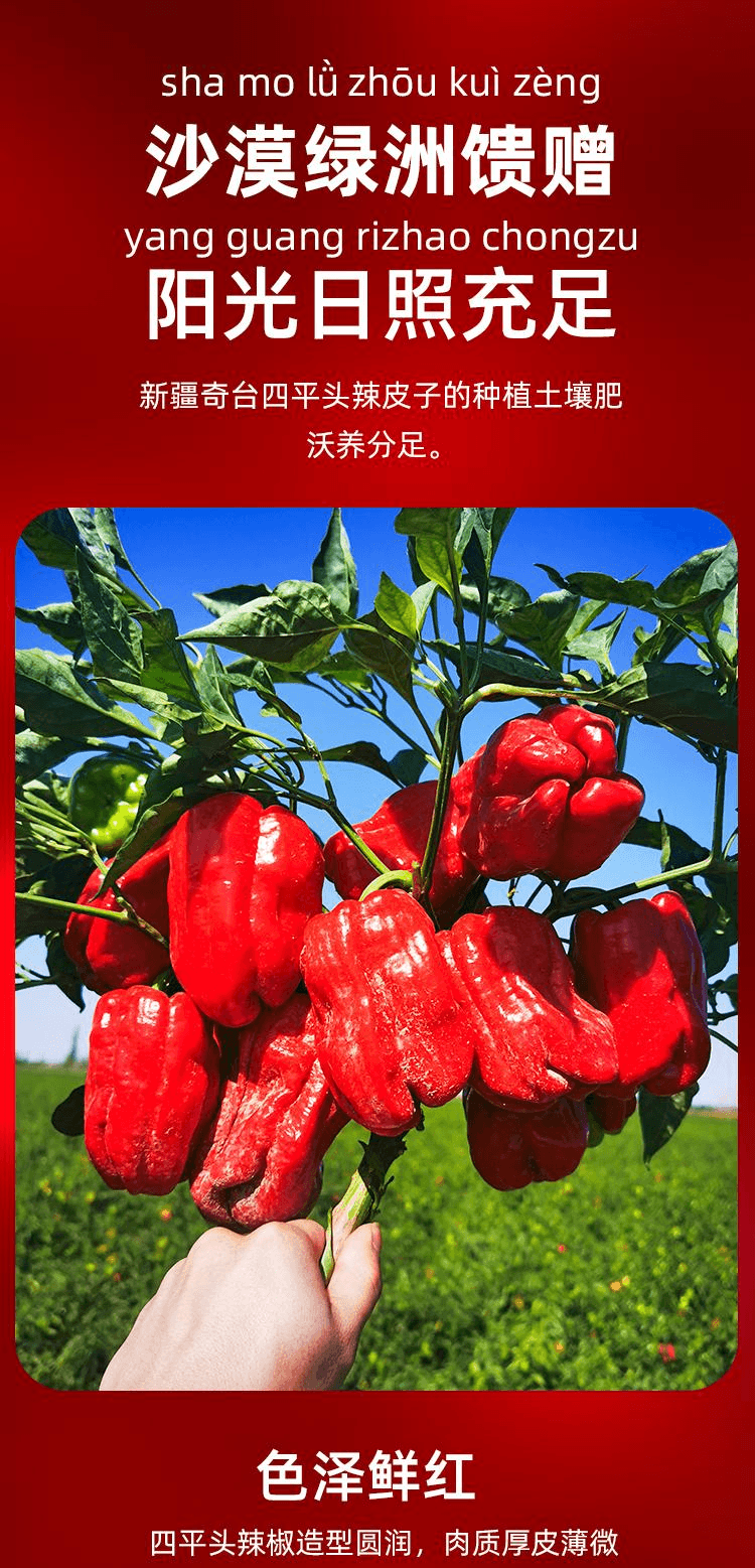 【中国直邮】 西尔丹 新疆拌饭辣椒酱下饭菜拌面香辣酱特产辣皮子酱雪莲辣椒丝220g*1瓶