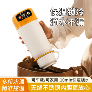 Car-mounted boiling water cup portable 1unit