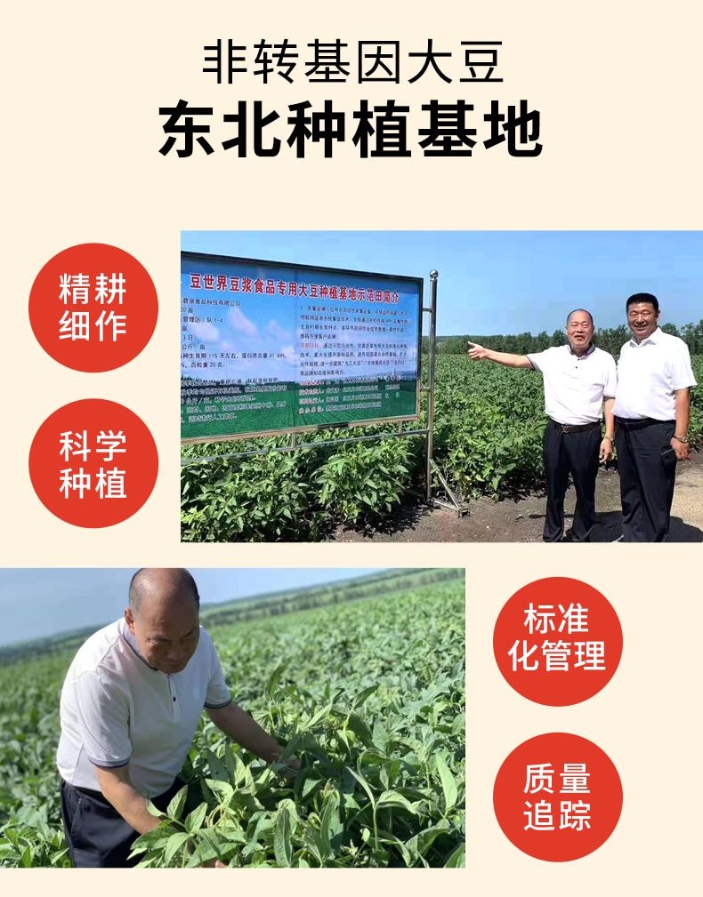 豆世界 速食甜味豆腐花196g*1包【营养早餐代餐独立小包装】