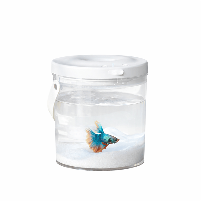 OLAYKS 【Soutien de Li Bingbing et Hou Minghao】 Nouveau petit aquarium de bureau portable pour l'extérieur, oxygénation sans fil, pour poissons rouges