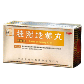 Guihundihuang Pill Warming Kidney Yang Treating premature ejaculation and kidney deficiency 300 pills x 1 box
