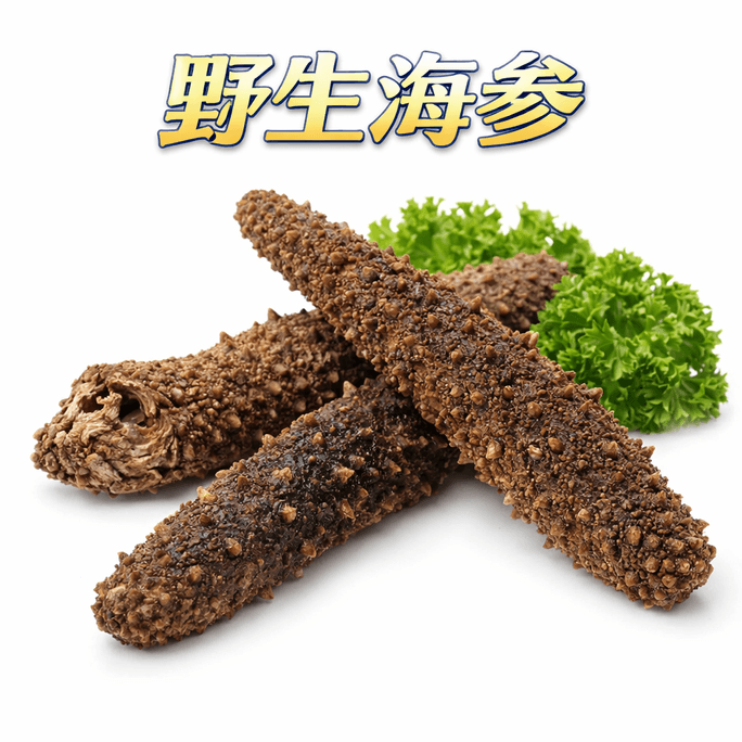 Alasika Wild SeaCucumber 1lb