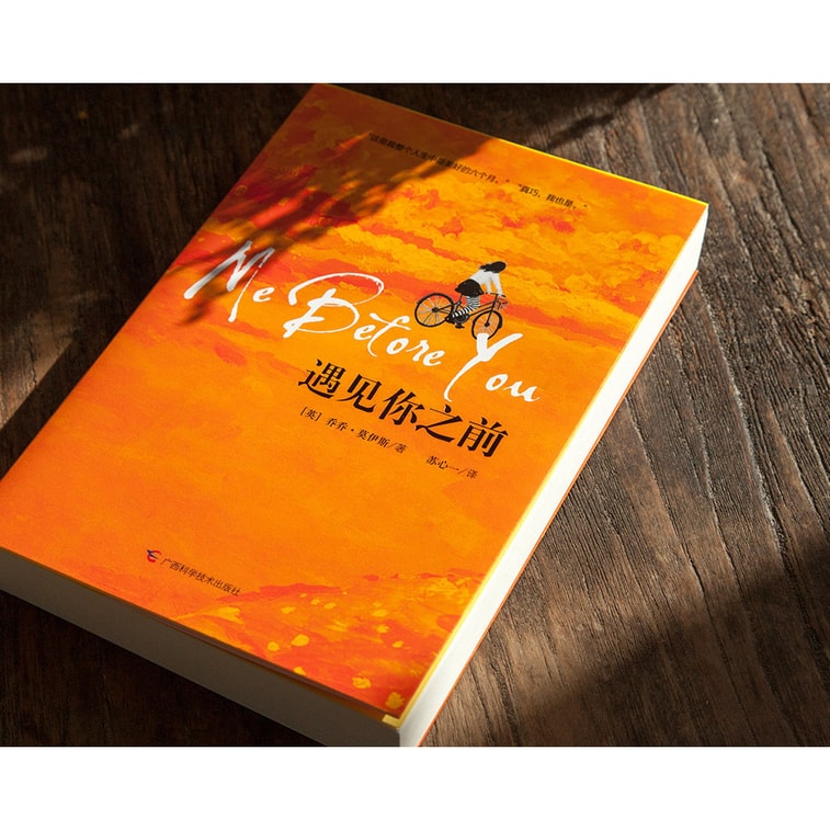 遇见你之前 4