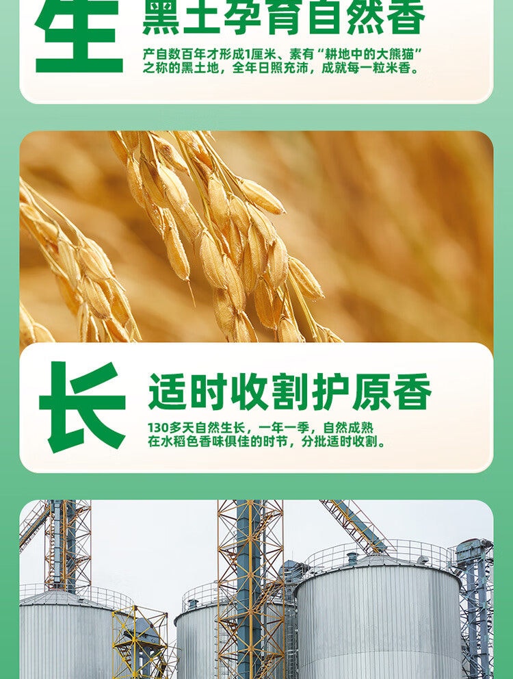 十月稻田 【爆款东北大米】颗粒饱满 清香耐嚼长粒香米(一年一季新米)300g*1袋