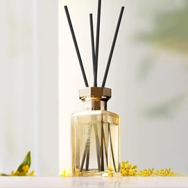 Moonlit Osmanthus Flameless Aromatherapy Reed Diffuser 5.07 fl oz