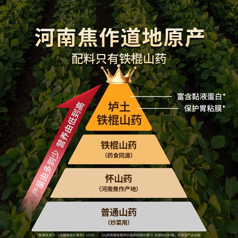 [중국 직송] 구본탕 철막대 얌 분말, 정통 순수 회회얌, 위장 영양, 허난성 교쭤시 원현 루 점토, 500g/병 3