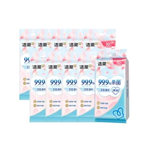 Wet Wipe Set: Rose-Scented Wet Wipes, Individually Packaged, 10 Packs (100 Wipes Total), Portable, Household, Value Pack