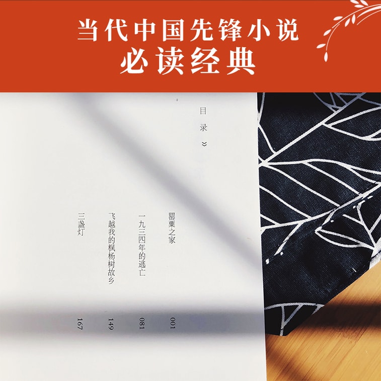 罂粟之家(茅盾文学奖得主苏童中篇小说代表作) 6