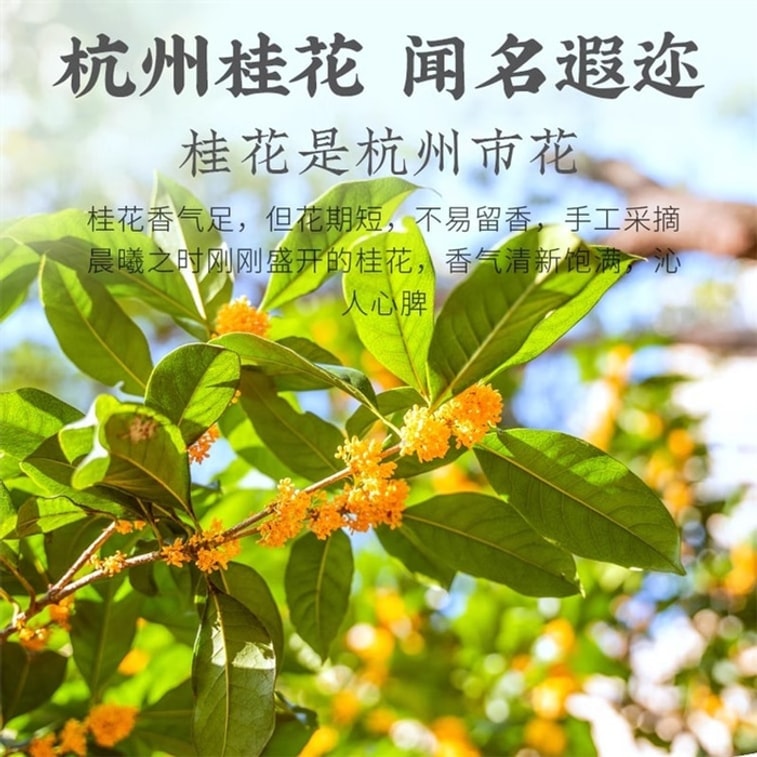 【中国直邮】 狮峰茶叶 桂花红茶九曲红梅茶叶杭州特产正宗龙井茶原产地优选 150g/盒 3