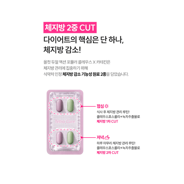 【韩国直邮】 韩国 OLIVE YOUNG TetraCure毛喉绿茶复合片 60粒*1盒 4