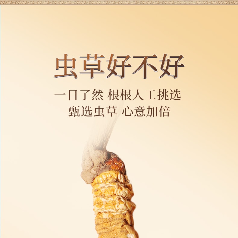  北京同仁堂 西藏道地冬蟲夏草1g 西藏頭期蟲草乾貨滋補補腎潤肺壯陽止咳化痰【手工甄選海拔4500的優質原料 蟲草飽滿色澤金黃】