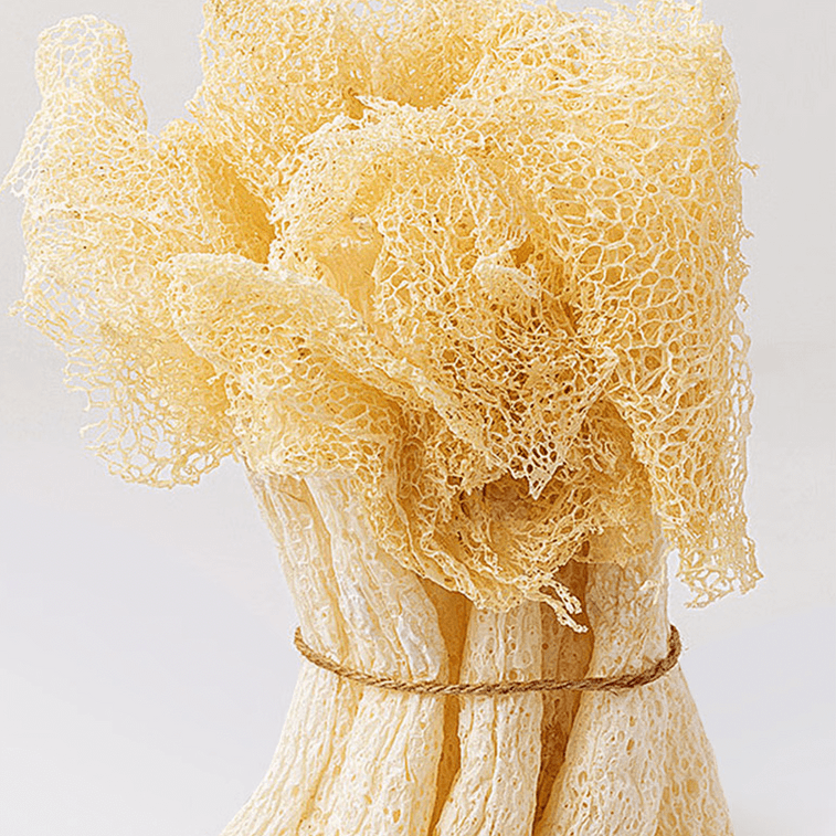 裕庆堂 白玉条竹荪 20g【火锅涮菜煲汤竹笙】 5