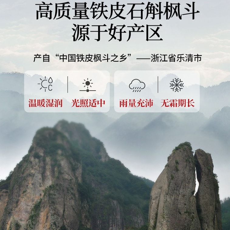 【中国直邮】 北京同仁堂 铁皮石斛100g 4