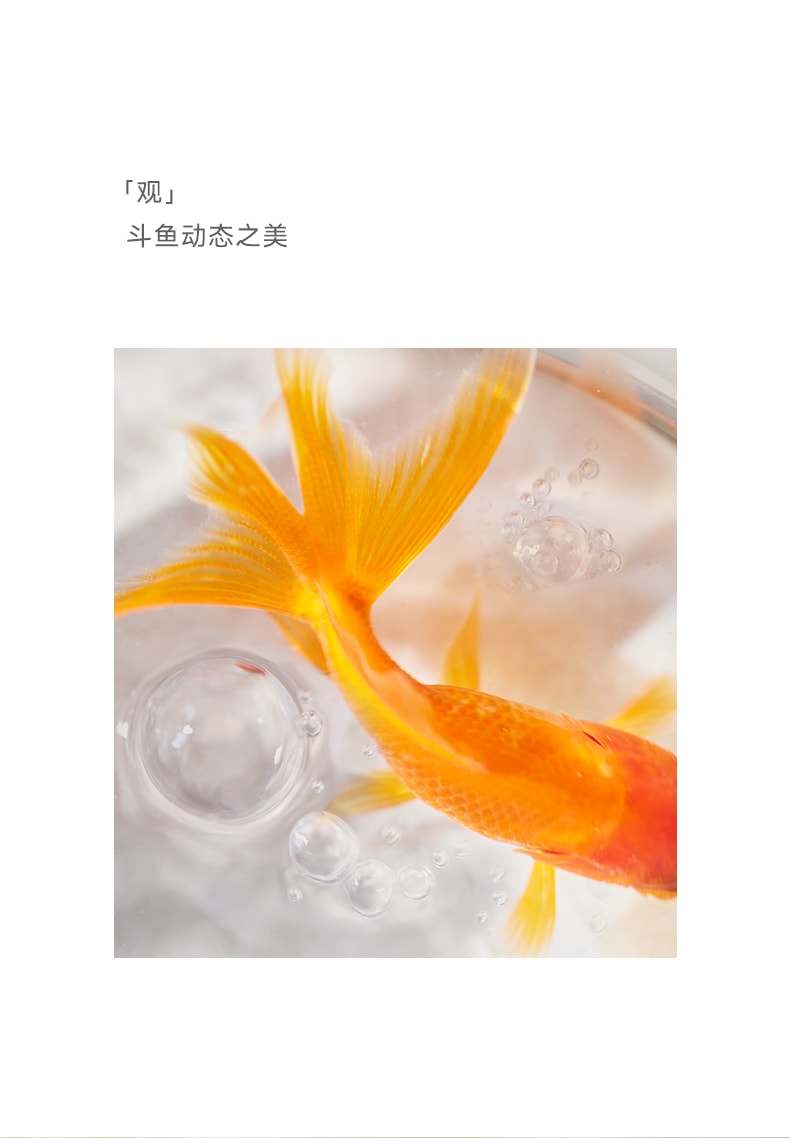 OLAYKS 鱼缸新款小型桌面办公便携式户外打氧无线注氧金鱼缸