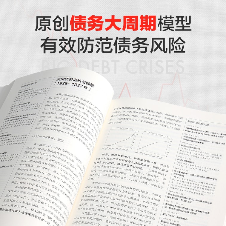 【中国直邮】I READING爱阅读 债务危机 4