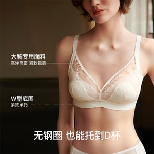 Sunlight Vanilla Lace Rabbit Ear Cup Large Bra White S