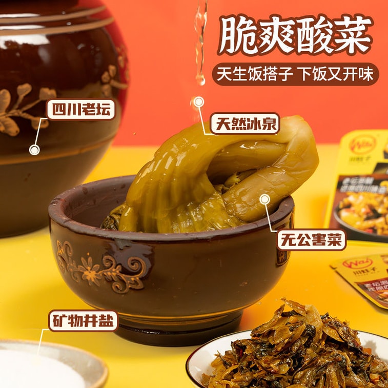 川娃子 【春季大促】爽口酸菜 老坛泡酸菜 开袋即食下饭菜  泡菜小袋便携装15g*15袋 3