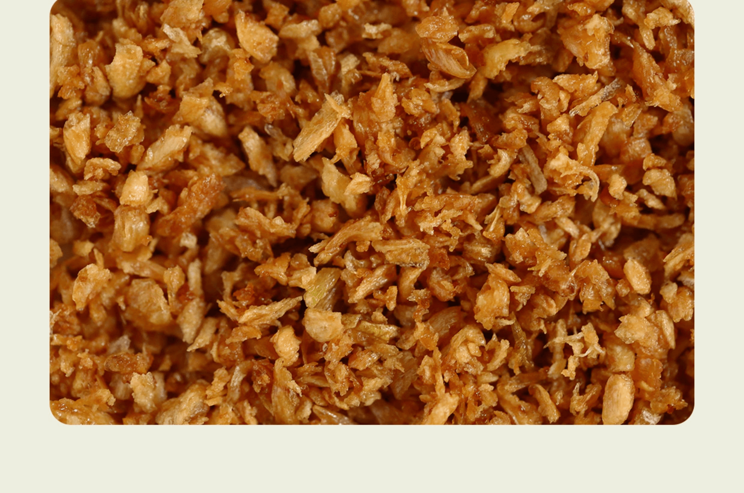 【中國直郵】 南食召 蒜頭酥新鮮蒜頭優質底油潮汕炸蒜55g*1罐