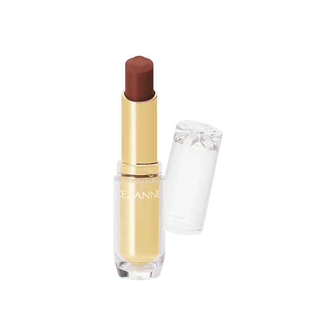 ラスティンググロスリップ #101 ブラウン