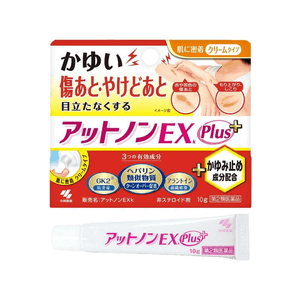 【日本直送】小林製薬 エクストラストレングス かゆみ止め・傷跡消しクリーム 10g