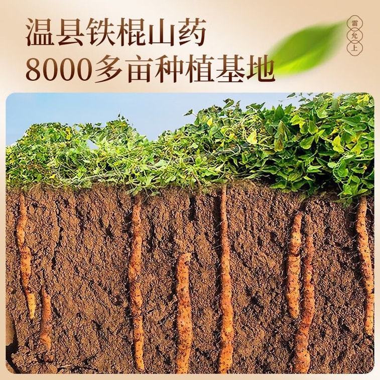Leyunshang Iron Stick Yam Powder 500g - Jiaozuo Wen County Authentic Huai Shan, 240 Pesticide Tests Passed, Spleen-Stomach Nourishing Powder, Instant Drink & Gift for Elderly 4