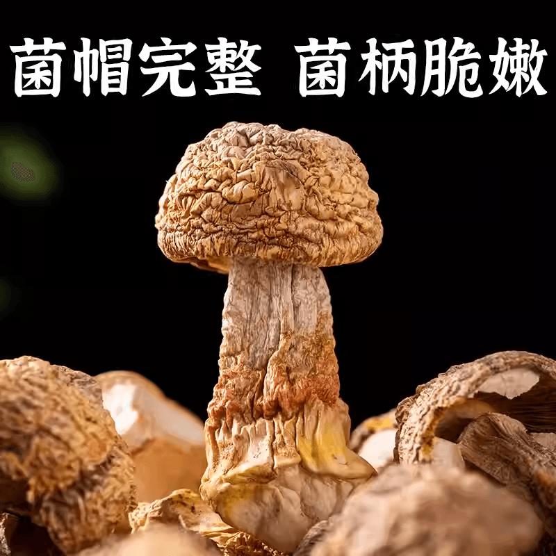 【中國直郵】 滇園 雲南姬松茸100g袋裝乾貨土特產菌菇山珍鮮香菌香食用煲湯