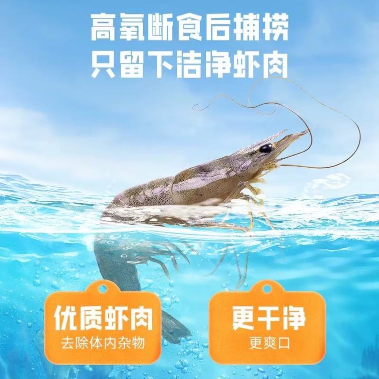 [중국 직배송] 쓰리 스쿼럴스 고단백 바삭한 새우튀김, 오리지널 맛 20g 1봉 + 매운맛 20g 1봉 5