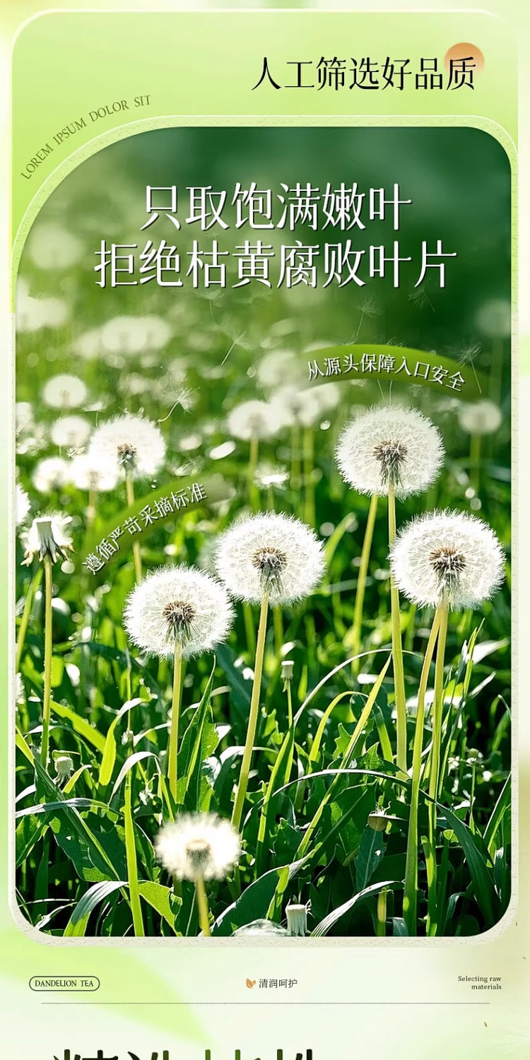 北京同仁堂 蒲公英散结茶 特级野生中药材 清热去火 抗炎祛痘 消散结节泡水喝养生茶【熬夜常备 不惧肝火】50g