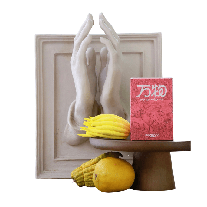 【Tropical Passion Incense Sticks】From Xishuangbanna tropical orchard Infused with passion fruit, bergamot, and agarwood 20 Sticks/1 Box